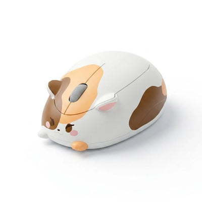三毛猫