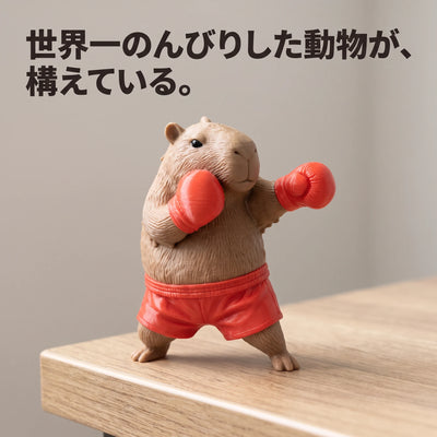 世界一のんびりした動物が、構えている。