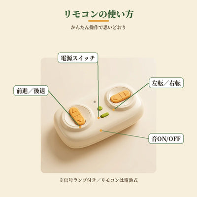 リモコンの使い方（ボタン説明）