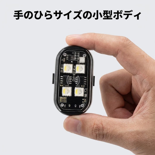 Palm-sized compact body
