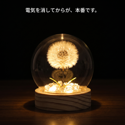 暗闇で下から照らされて光る綿毛