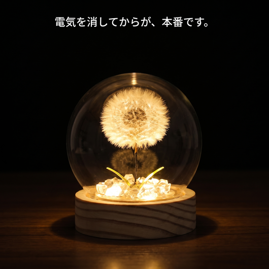 暗闇で下から照らされて光る綿毛