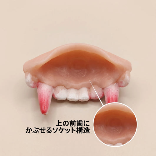 上の前歯にかぶせるソケット構造