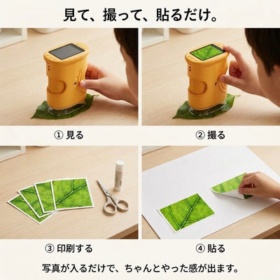 自由研究
