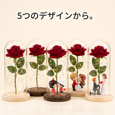 5つのデザインのラインナップ