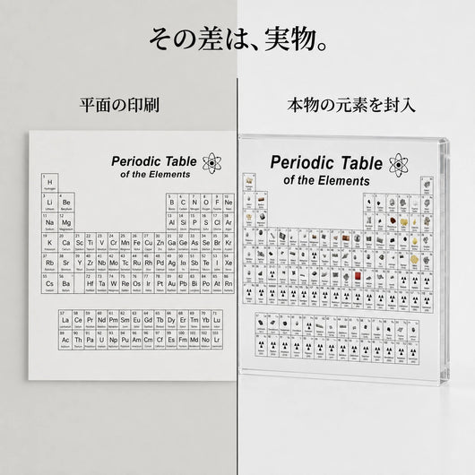 実物との比較