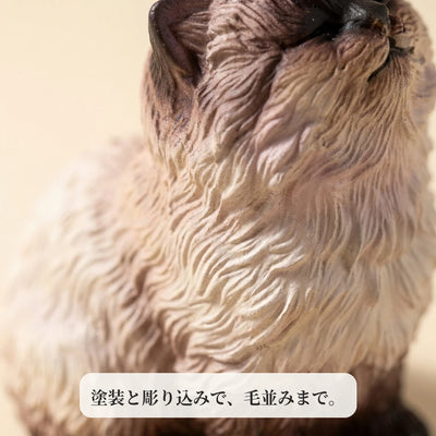 LACIAGA おすましシャム猫