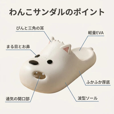 ポイント