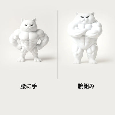 LACIAGA 不機嫌マッチョ猫 2つのポーズ 腰に手と腕組み