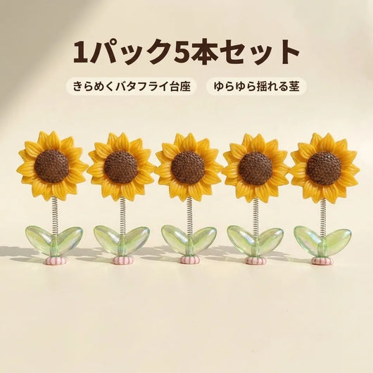 5本セット