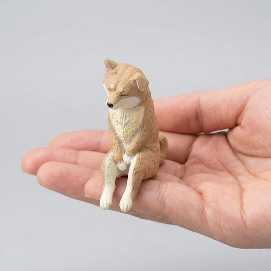 LACIAGA まどろむ子犬