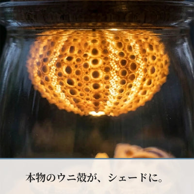 LACIAGA 瓶の中の海 ソーラーランプ