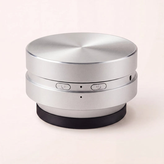n13-variant-silver