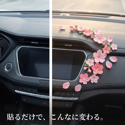 ビフォーアフター 車内