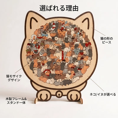 選ばれる理由
