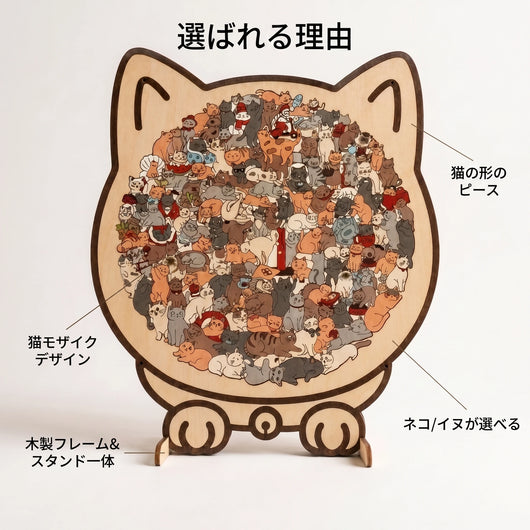 選ばれる理由