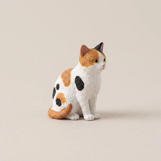 三毛