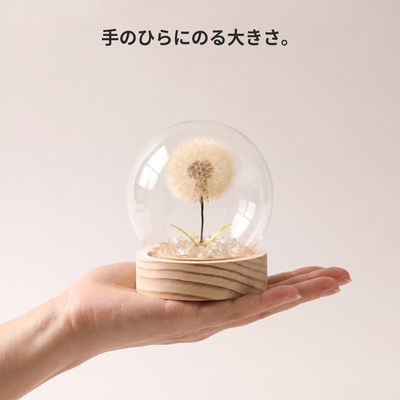 手のひらにのる大きさ