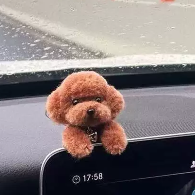 画面のフチに前脚をかけたレッドブラウンのわんこ