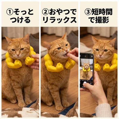 使い方