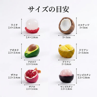 サイズの目安