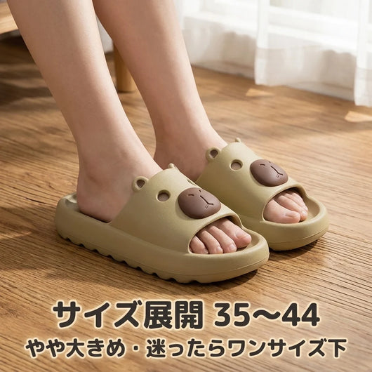 サイズ展開