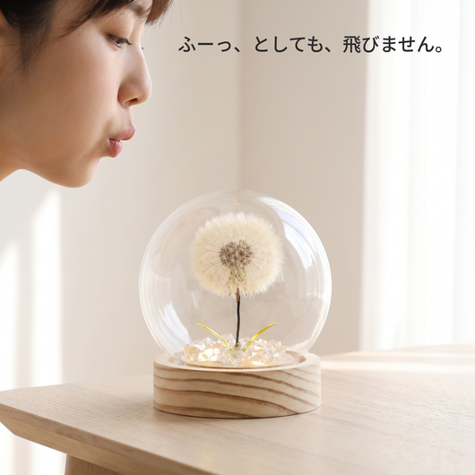 息を吹きかけても飛ばない綿毛