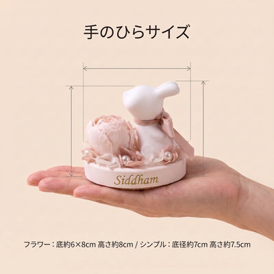 サイズ