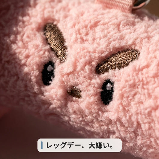 レッグデー大嫌い