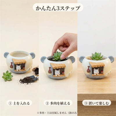 植え方かんたん3ステップ