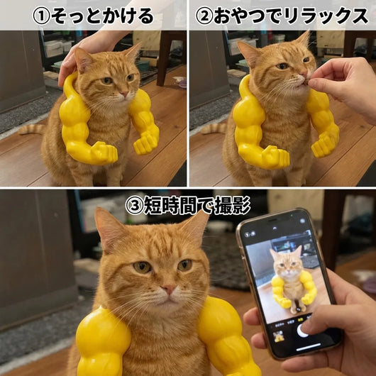 使い方