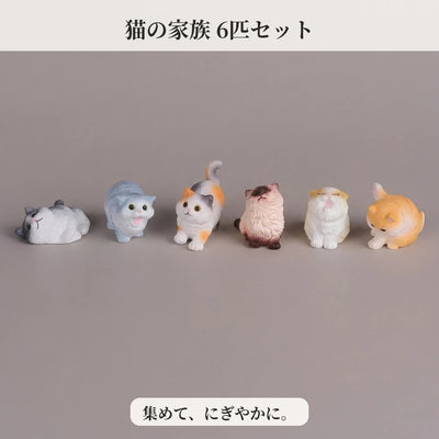 6-cat education slide