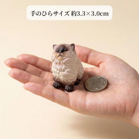 LACIAGA おすましシャム猫
