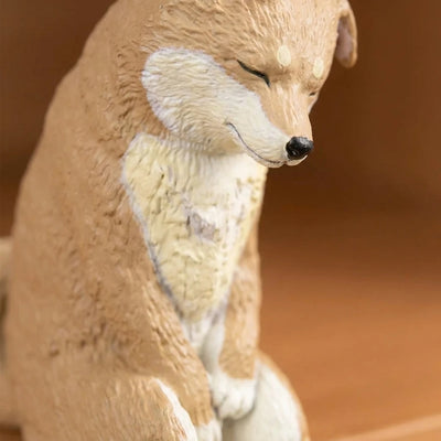 LACIAGA まどろむ子犬