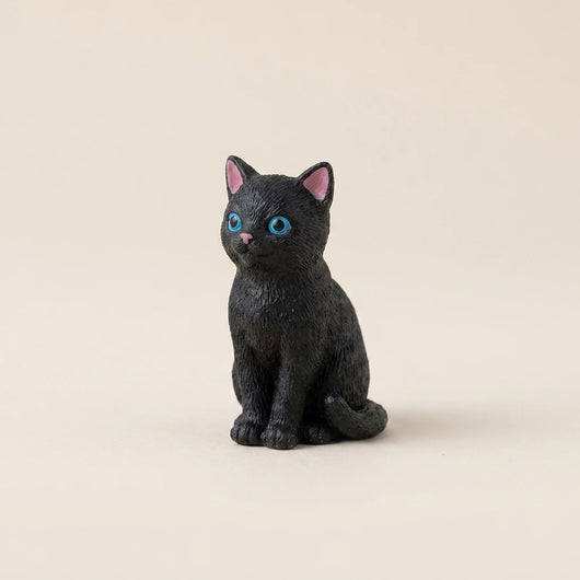 黒猫 青目