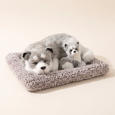 13-variant-husky