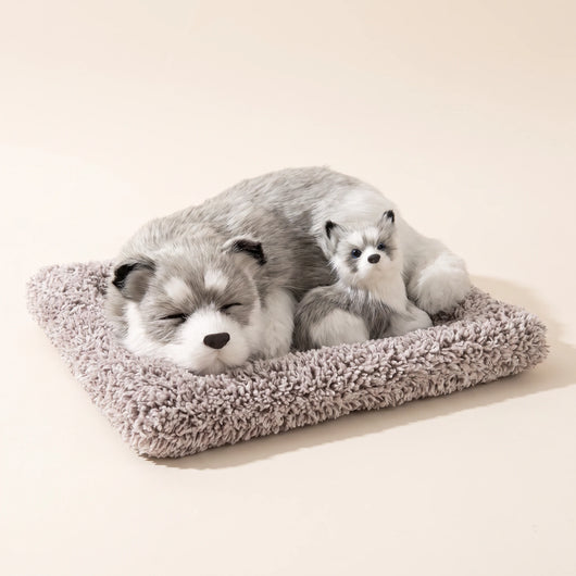 13-variant-husky