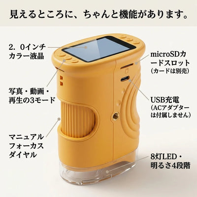 特長
