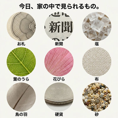 観察対象一覧