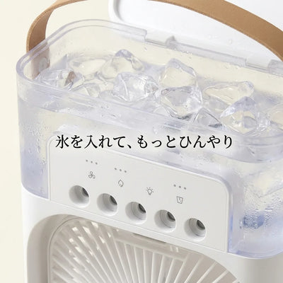 06-ice