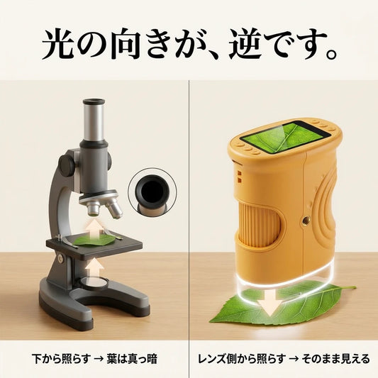ライトの向き
