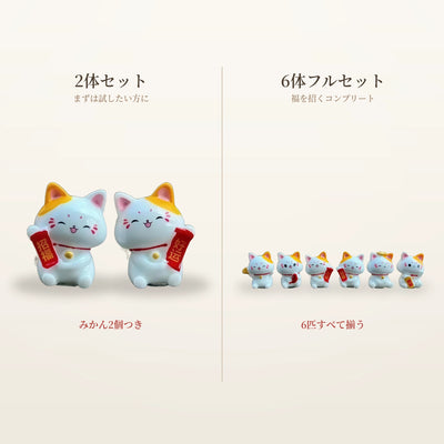 12-comparison