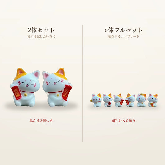 12-comparison