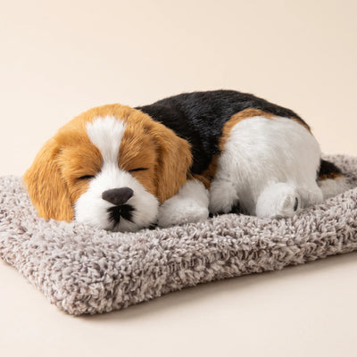 14-variant-beagle