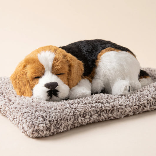 14-variant-beagle