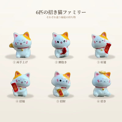 08-cat-family