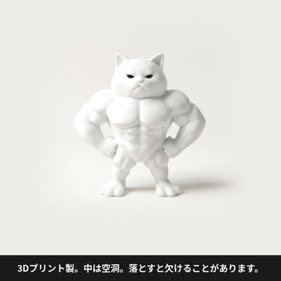 LACIAGA 不機嫌マッチョ猫 素材と注意事項