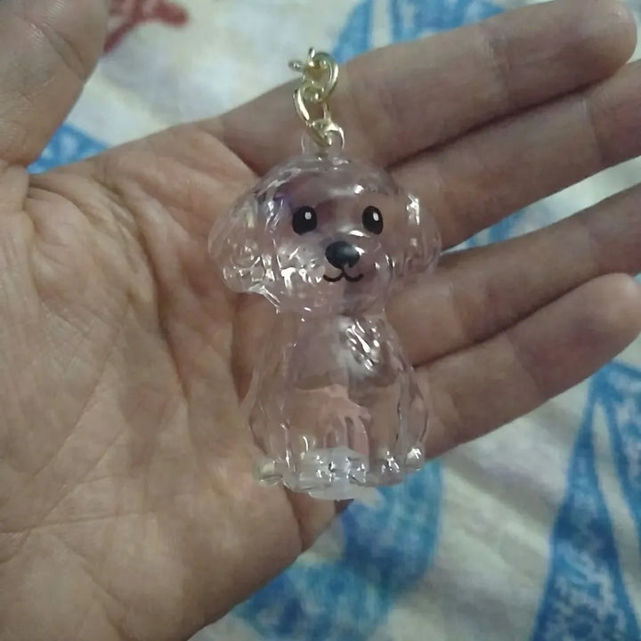 Review by 奈央