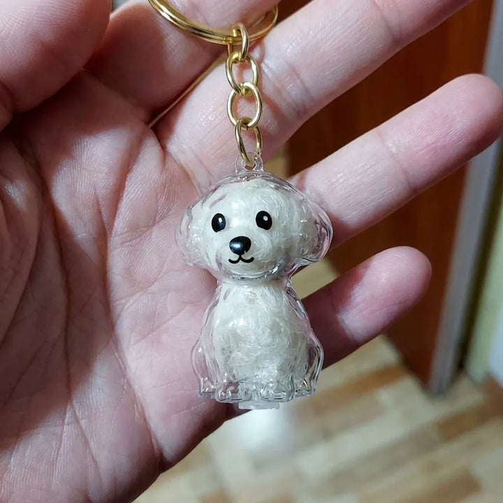 Review by 彩花
