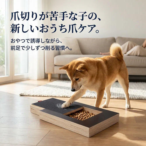 LACIAGA カリカリ爪ケアボード